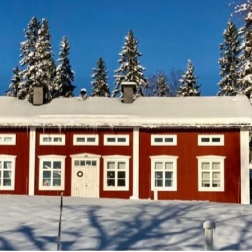 Lunchföreläsning