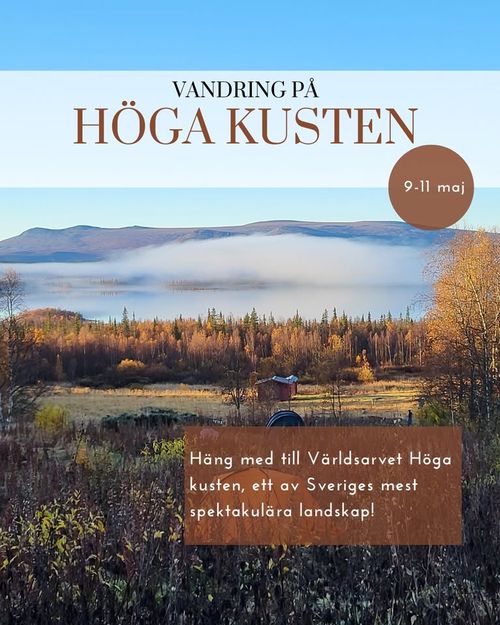 Vandring på höga kusten