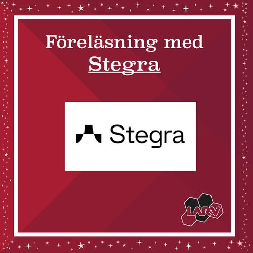 Föreläsning med Stegra