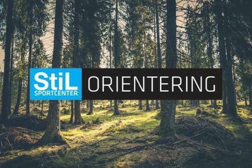 Grundkurs i orientering: Karta och kompass för äventyr