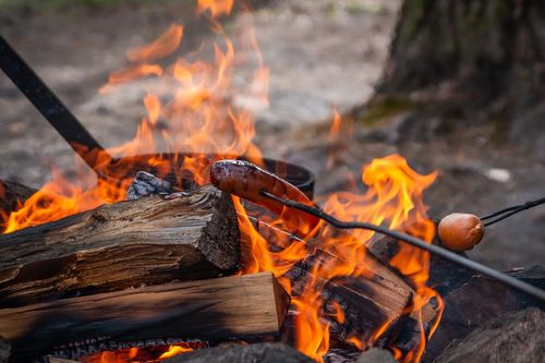 Tisdag tillsammans - utflykt till Mjölkuddsberget